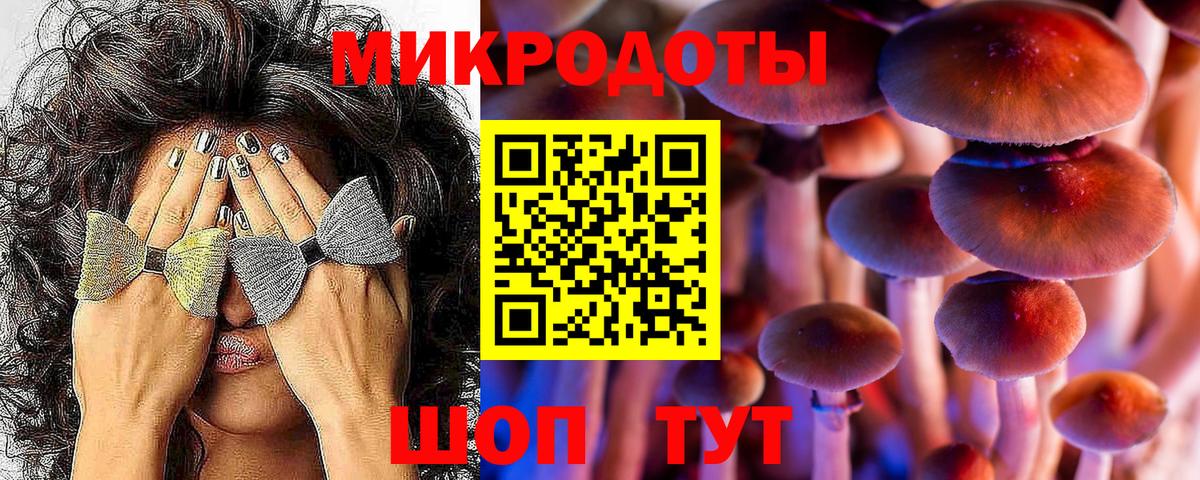 Псилоцибиновые грибы прущие грибы Муравленко